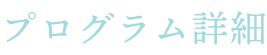 プログラム詳細